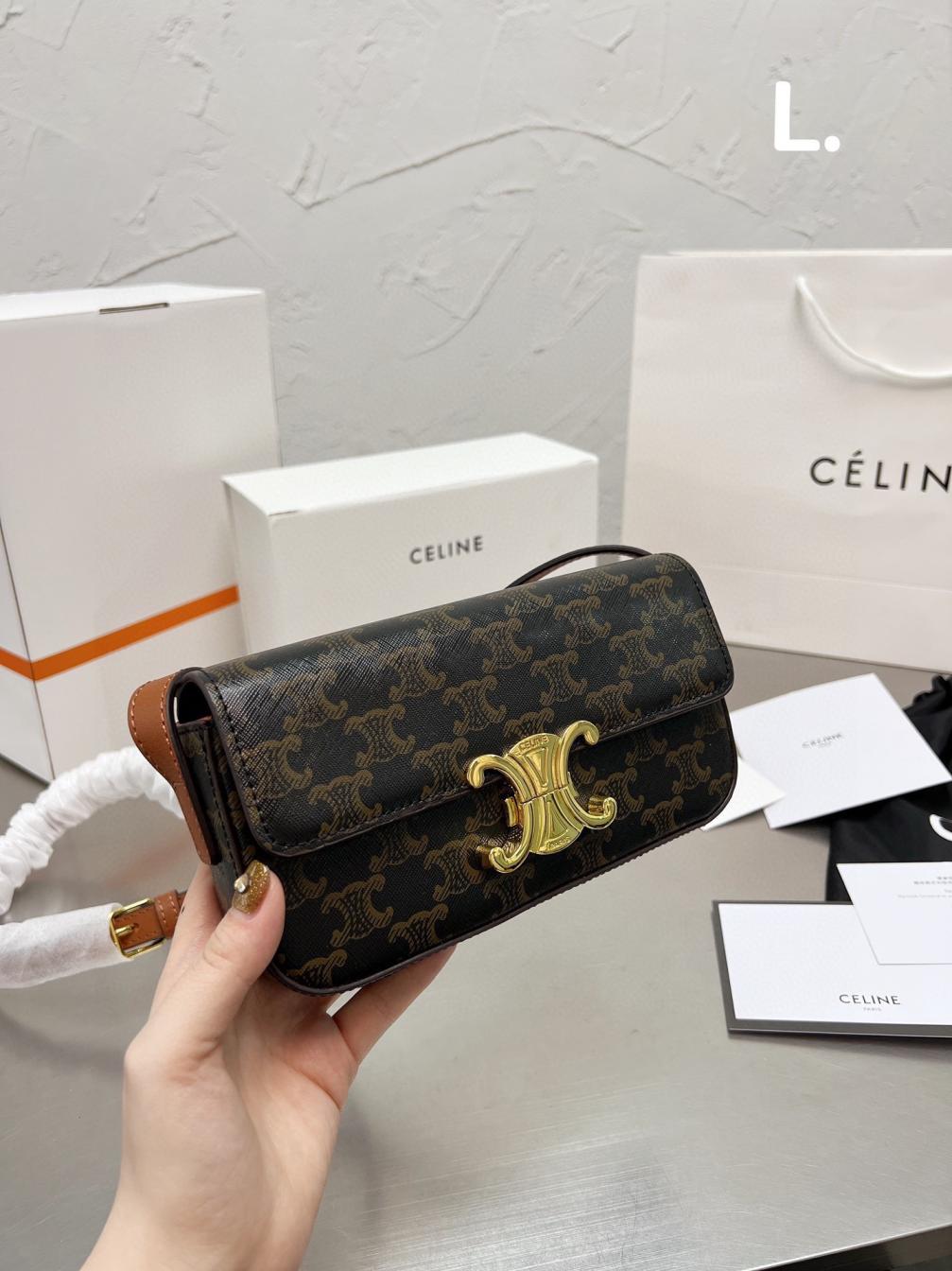 celine bag 131244