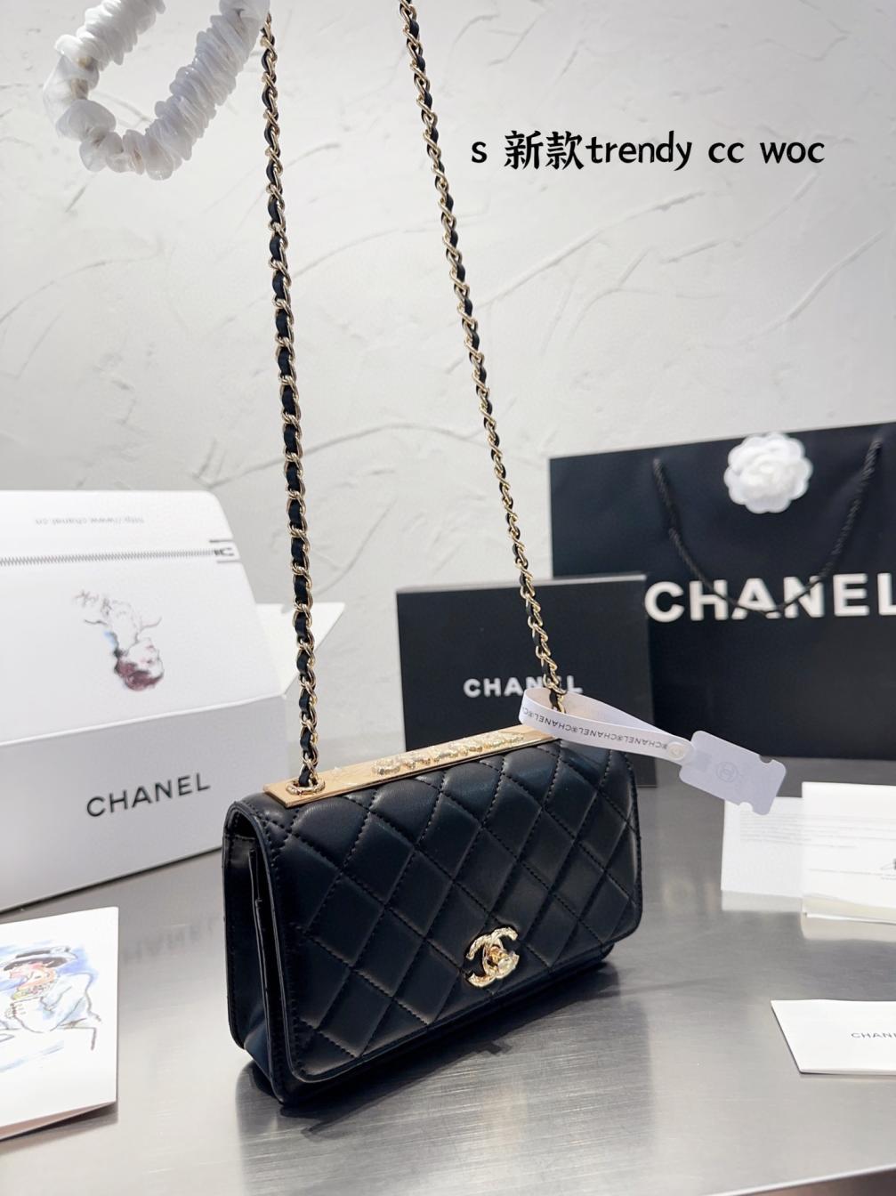 Chanel 19 Trendy Woc BAG