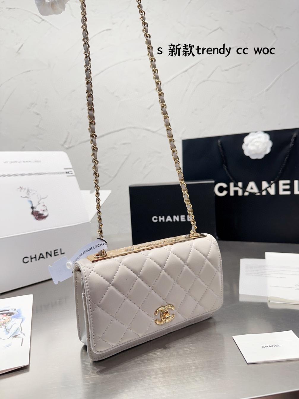 Chanel 19 Trendy Woc BAG