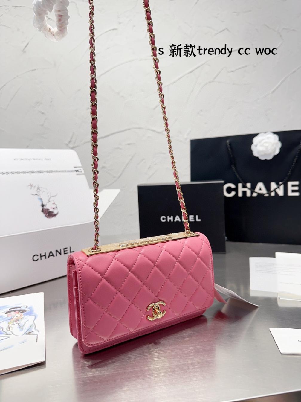 Chanel 19 Trendy Woc BAG