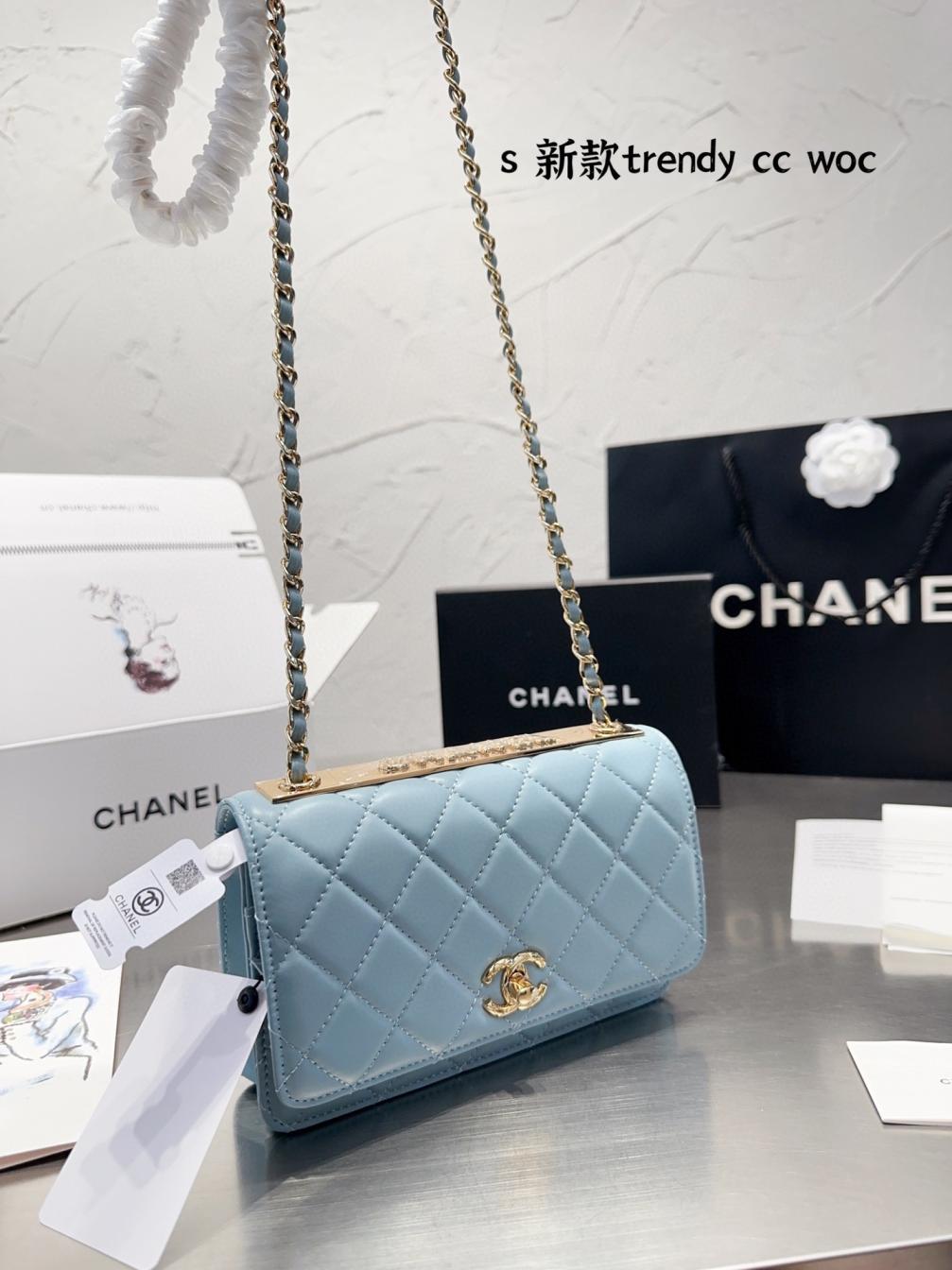 Chanel 19 Trendy Woc BAG