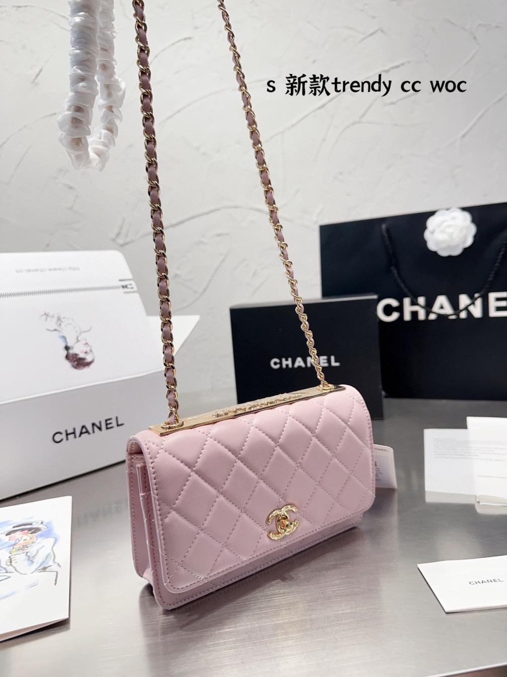 Chanel 19 Trendy Woc BAG