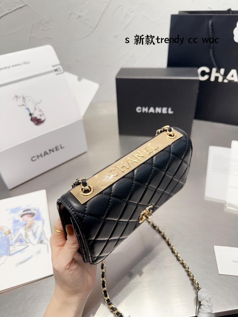 Chanel 19 Trendy Woc BAG