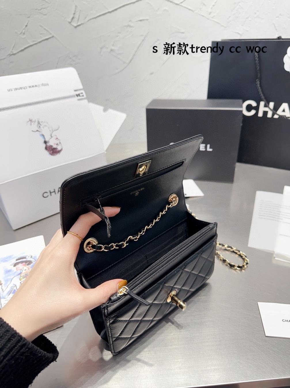 Chanel 19 Trendy Woc BAG