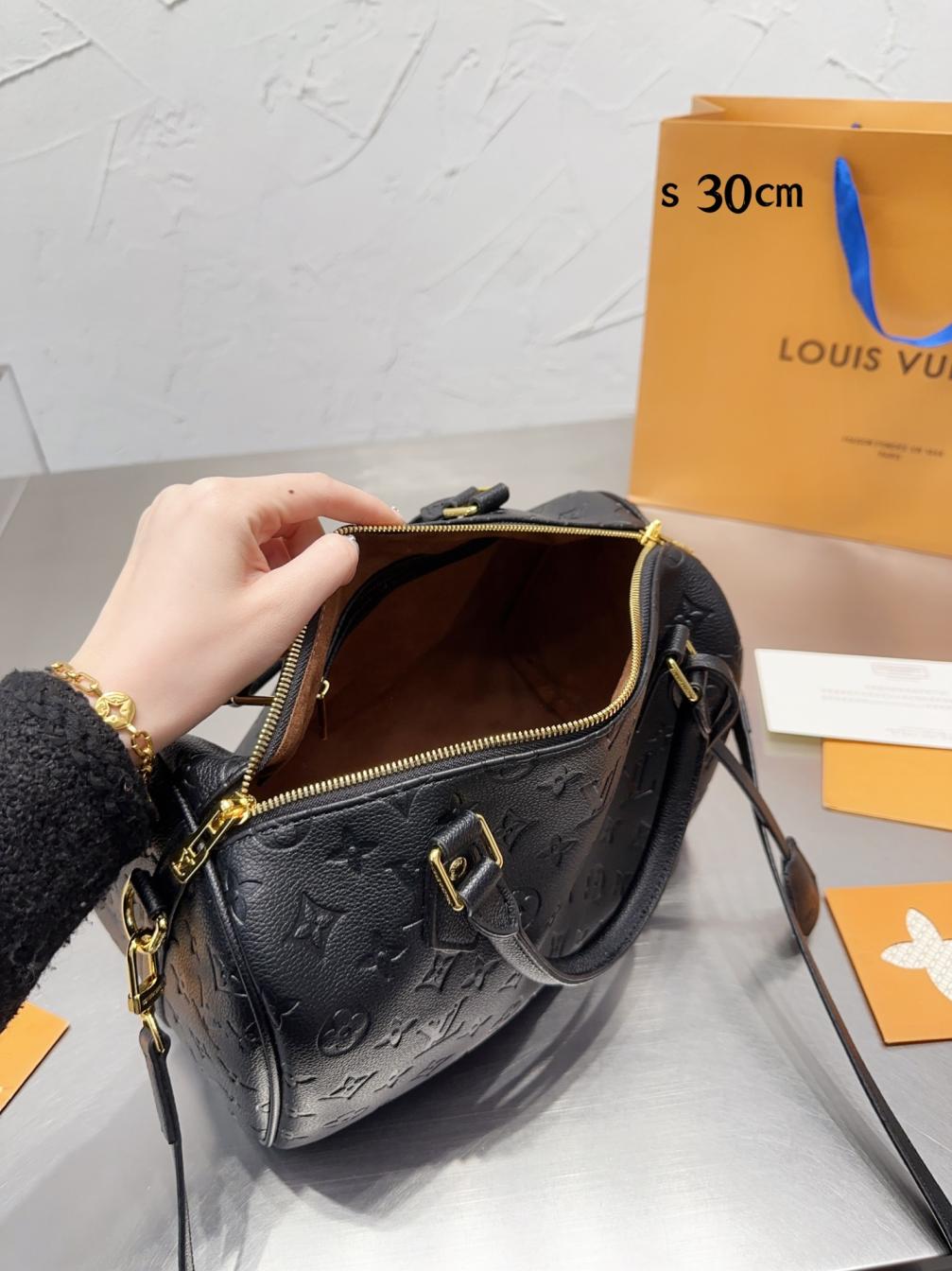 LV Speedy nano 30cm handbag 131909