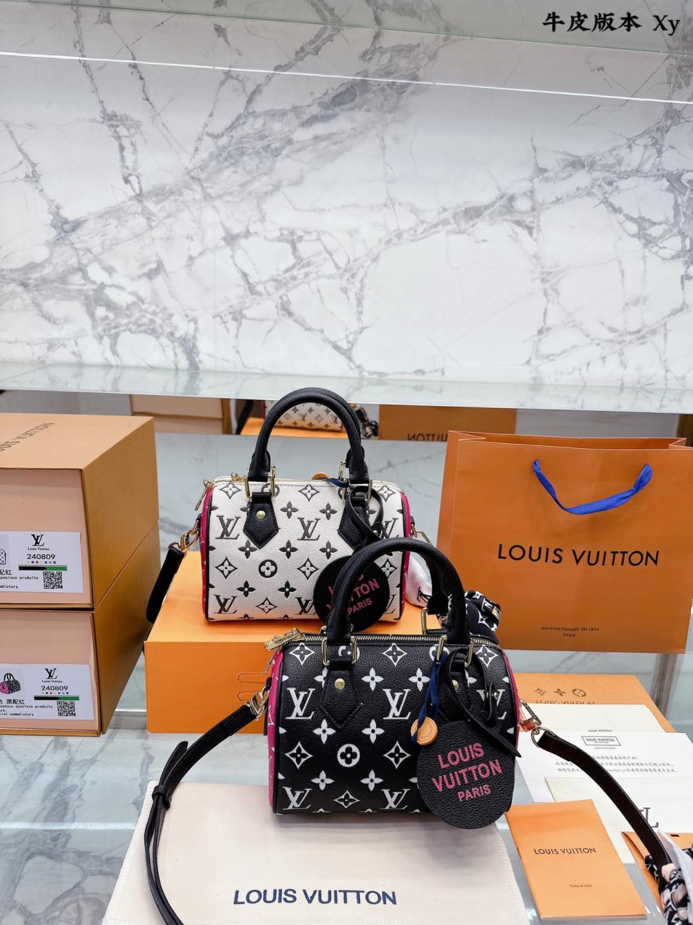 LV NANO speedy20 hand bag 131893