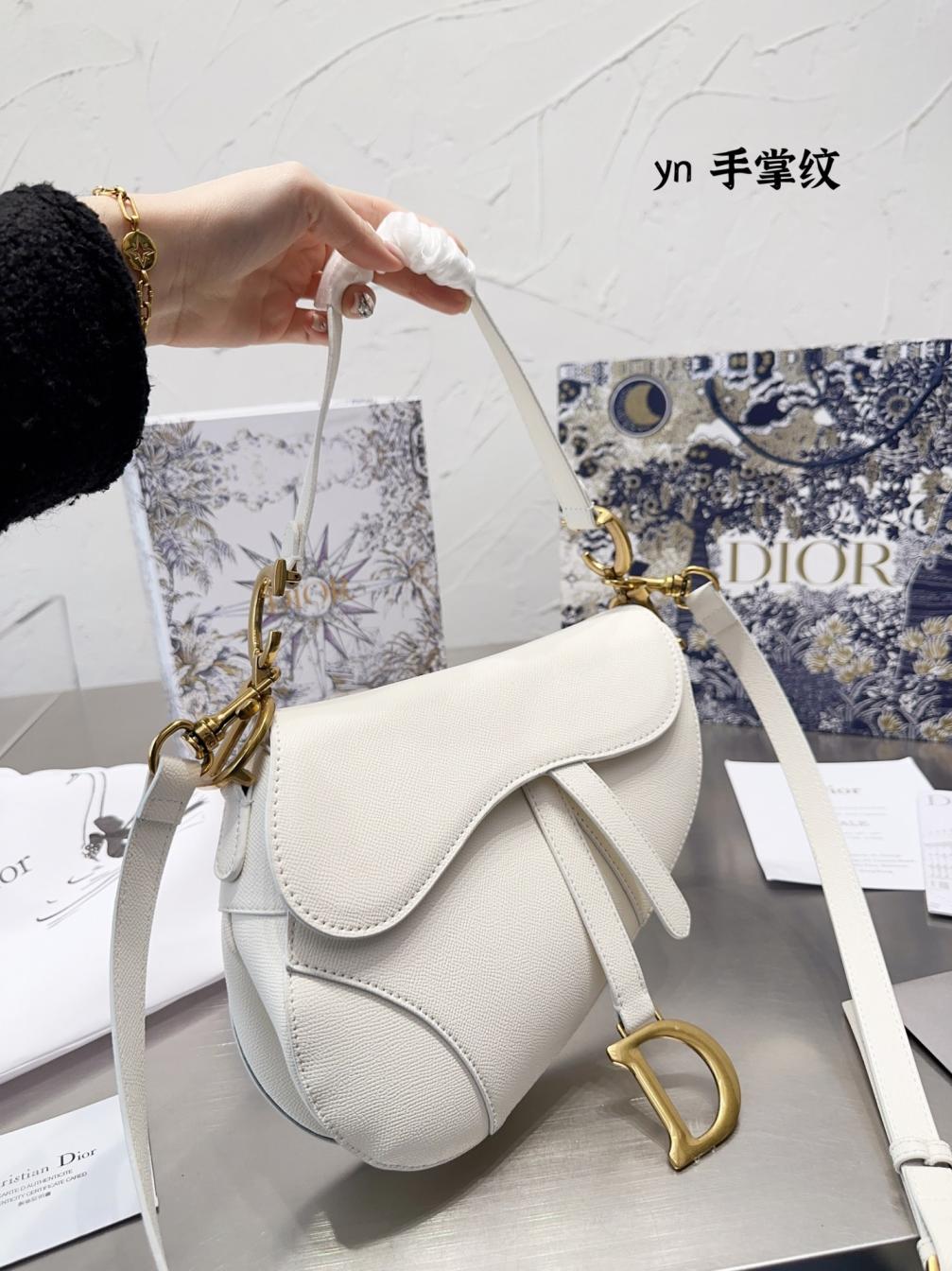 Dior Saddle bag 132211