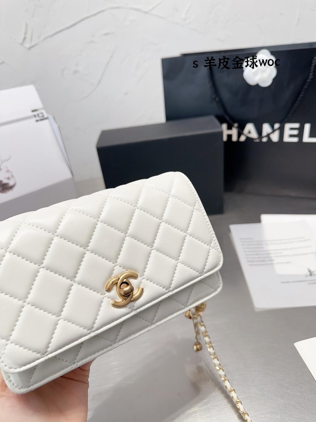 Chanel 2022 woc lambskin 132320