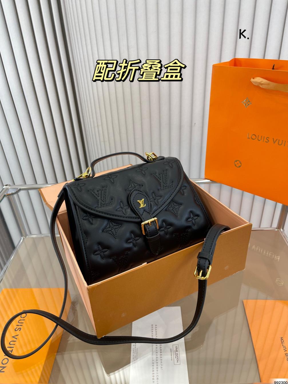 LV Hand bag 132255