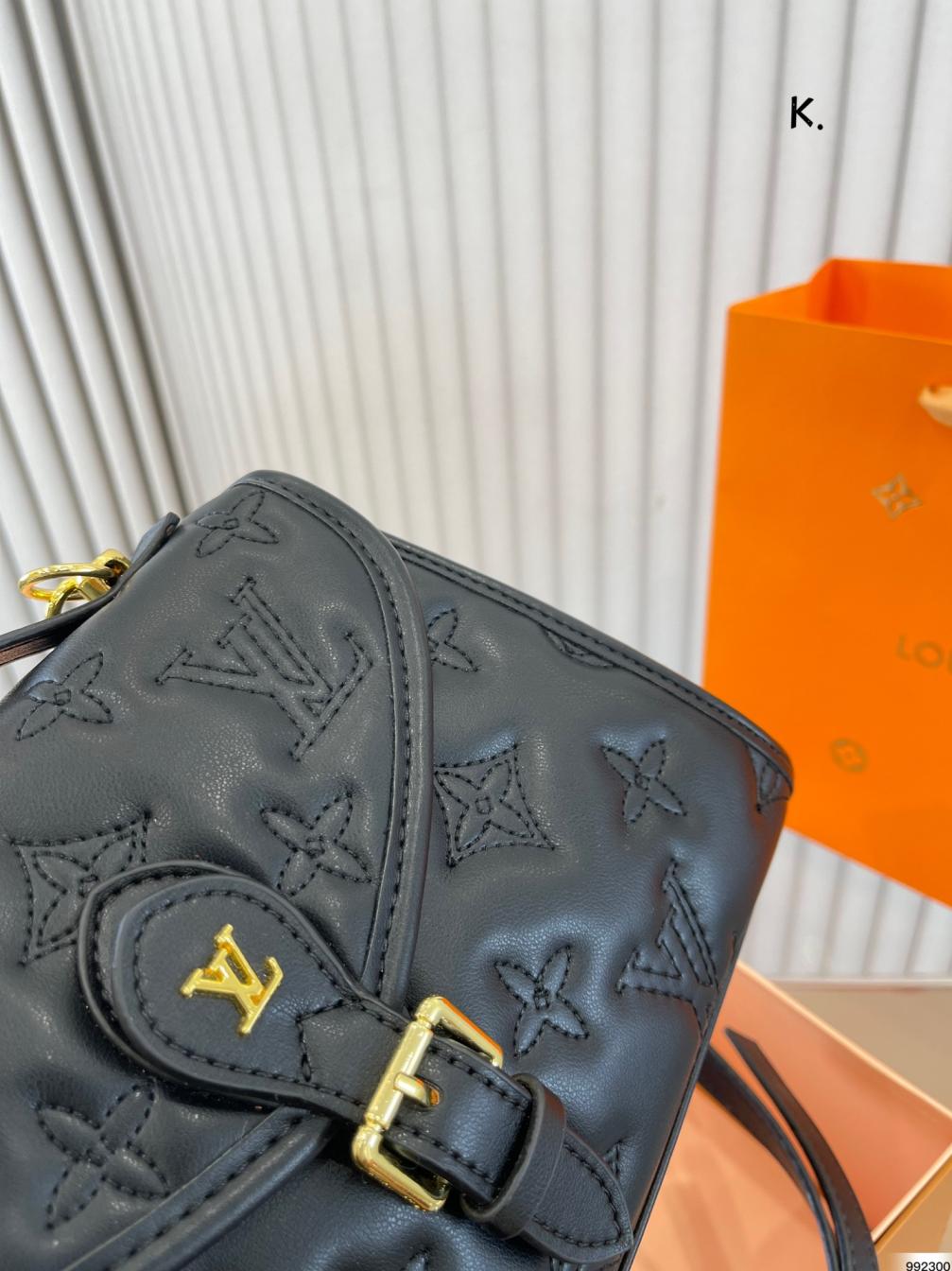 LV Hand bag 132255