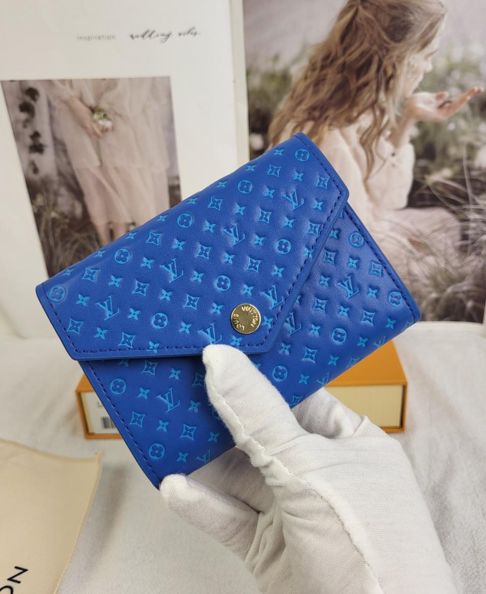 LV Victorine Nanogram Wallet
