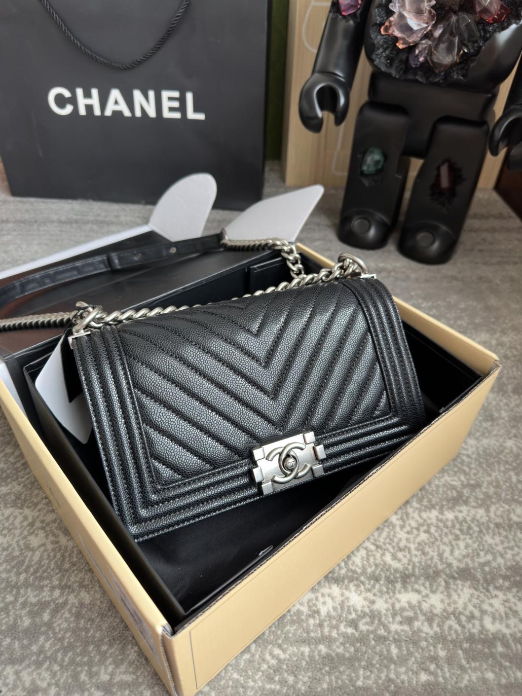 Chanel Leboy bag（25cm）