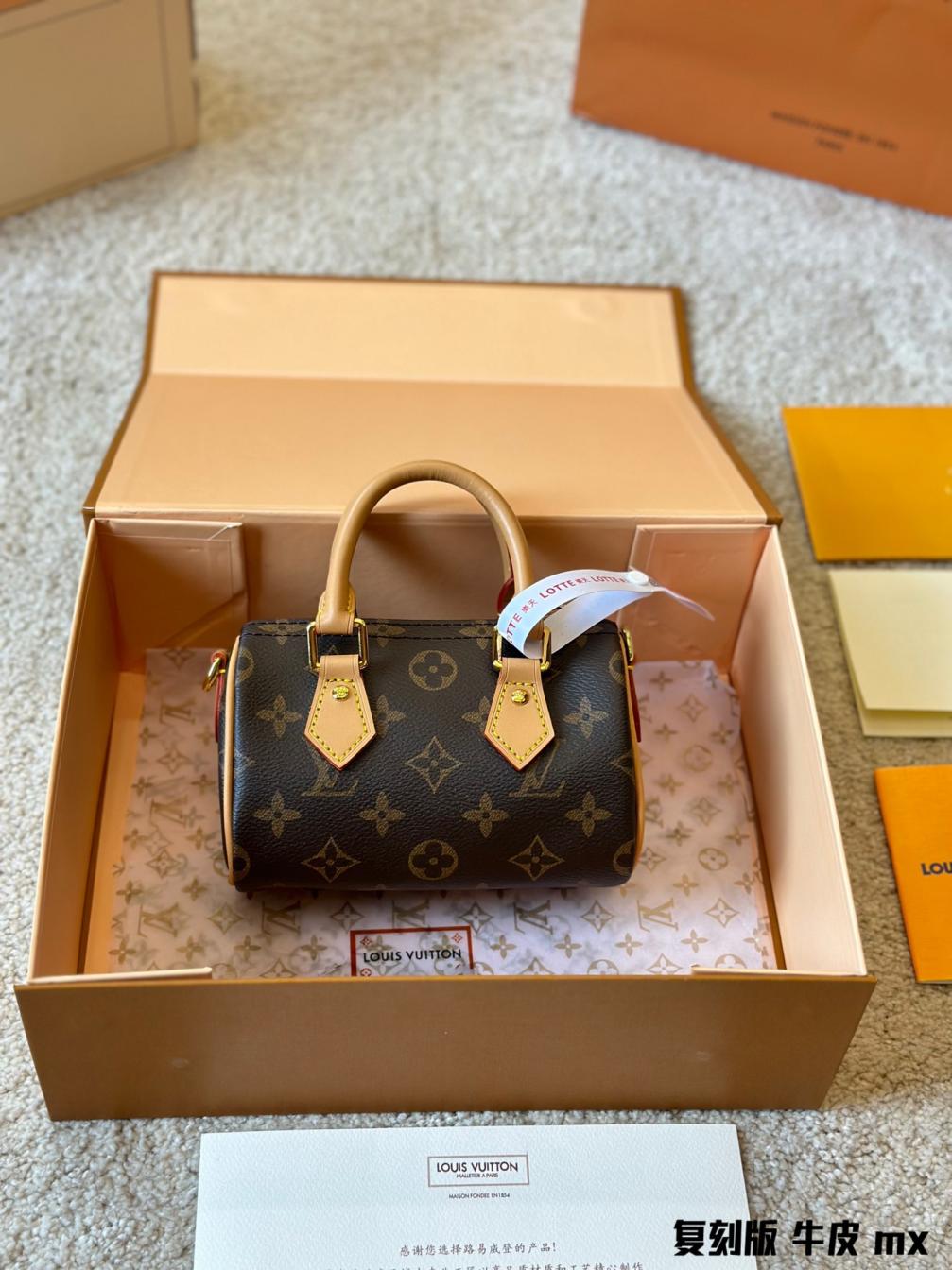 (16cm)LV Nano Speedy Retiro bag