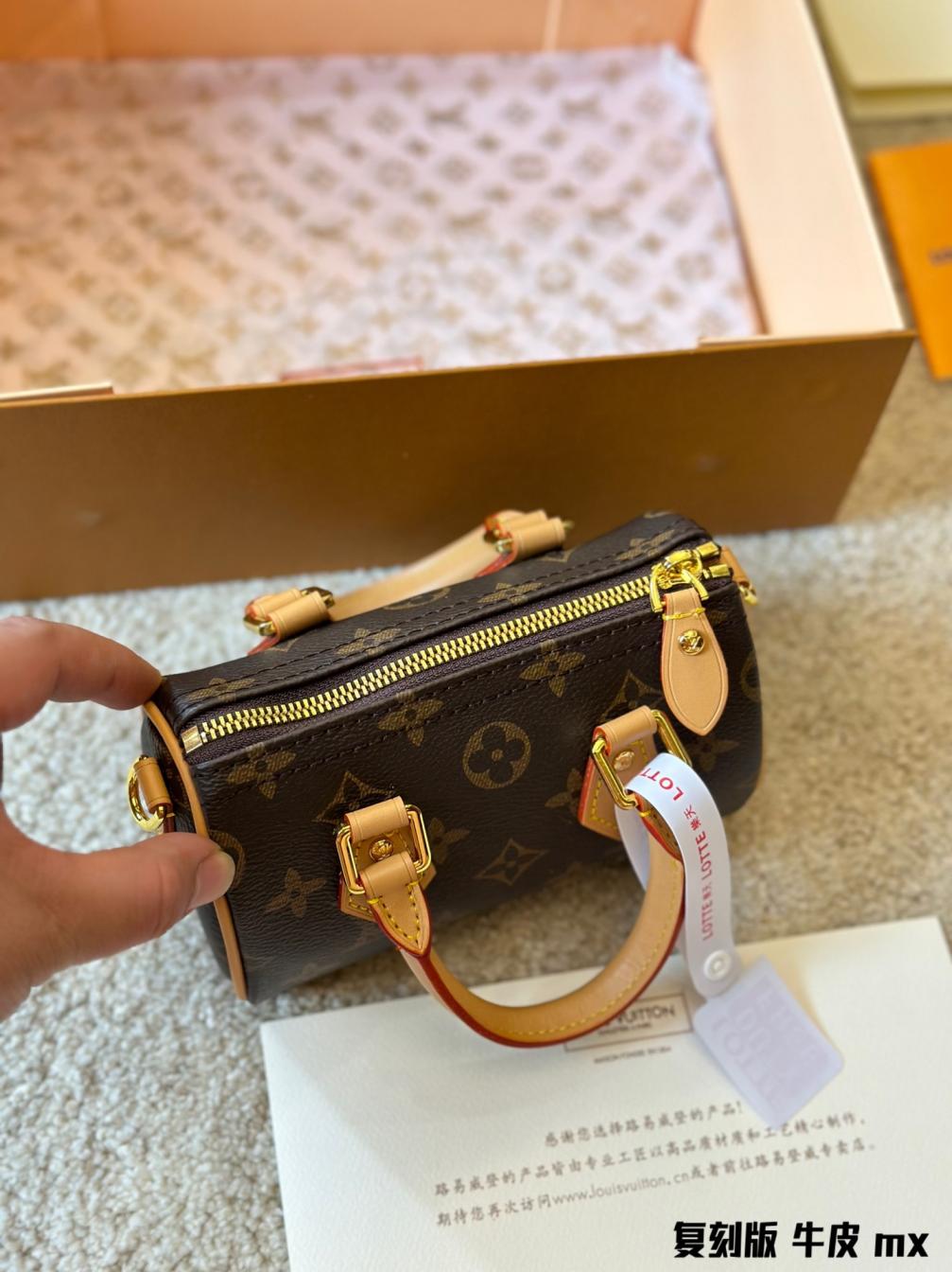 (16cm)LV Nano Speedy Retiro bag