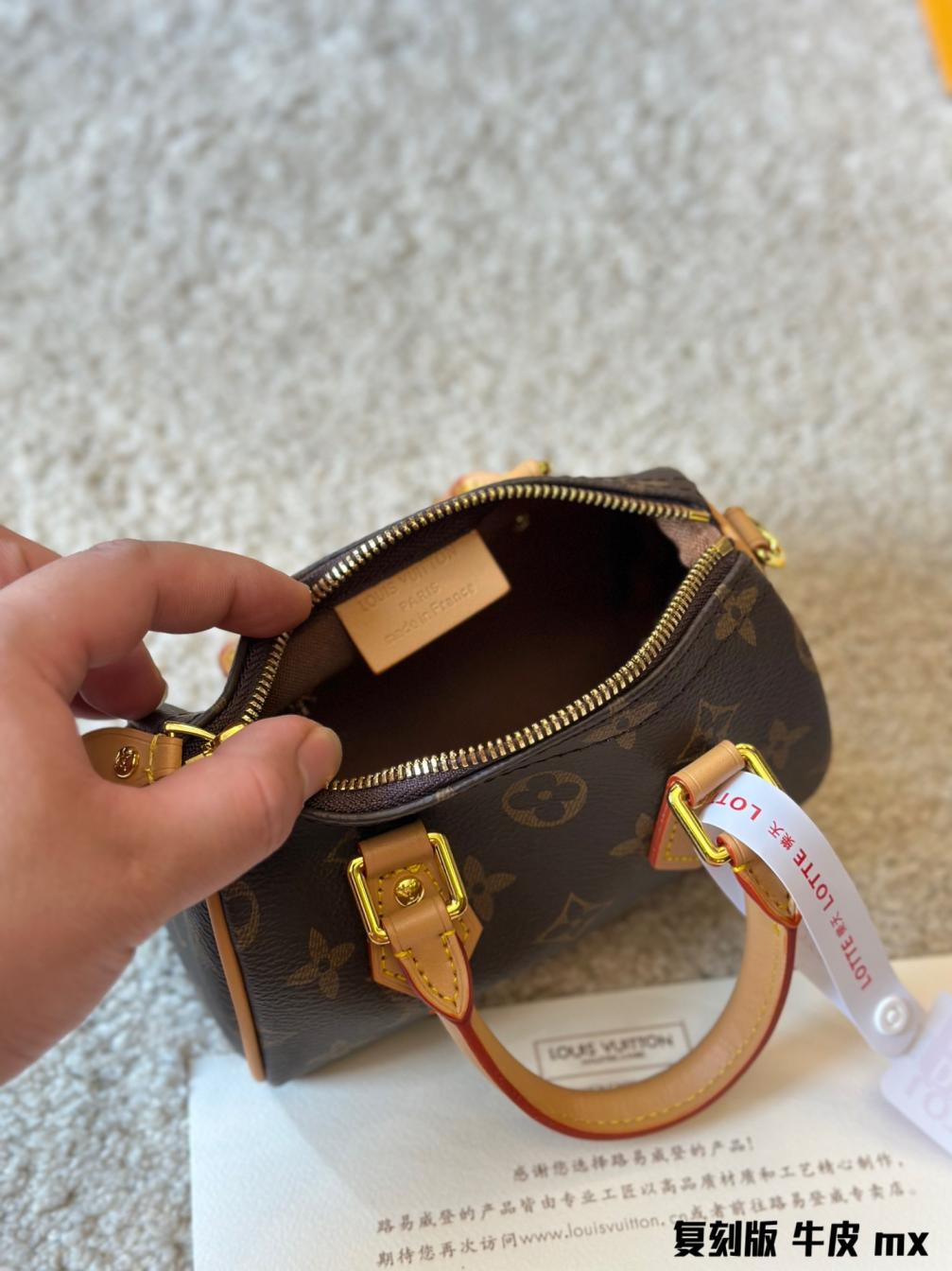 (16cm)LV Nano Speedy Retiro bag