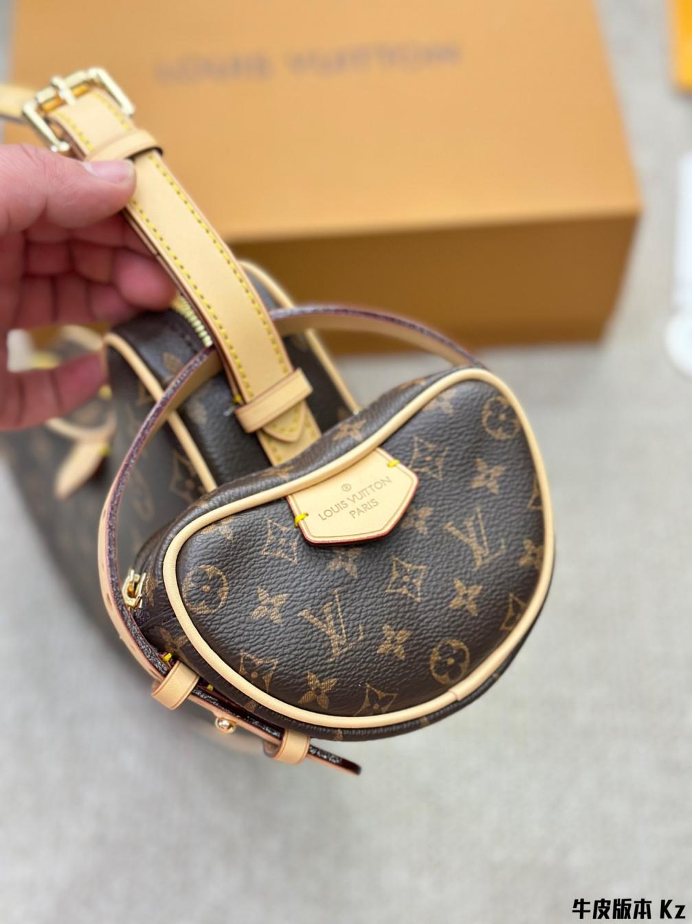 LV Louis vuitton pea vintage bag 133494