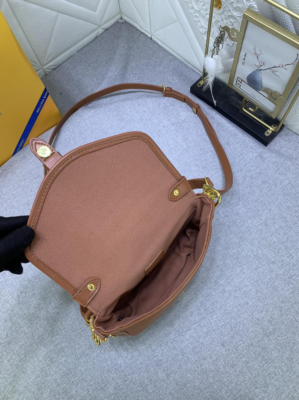 LV Circle M23469/M46740 Saumur BB Epi Bag