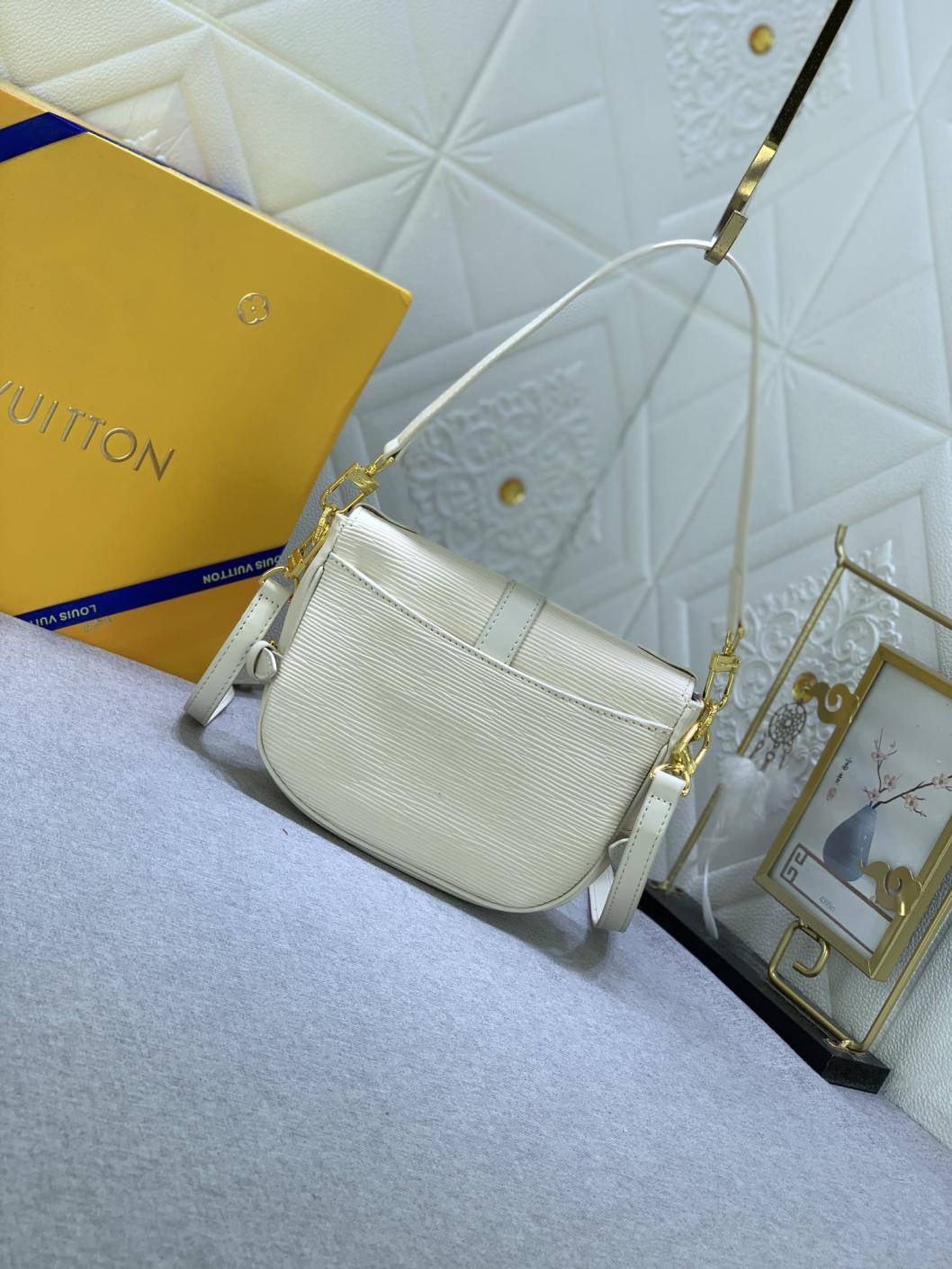 LV Circle M23469/M46740 Saumur BB Epi Bag