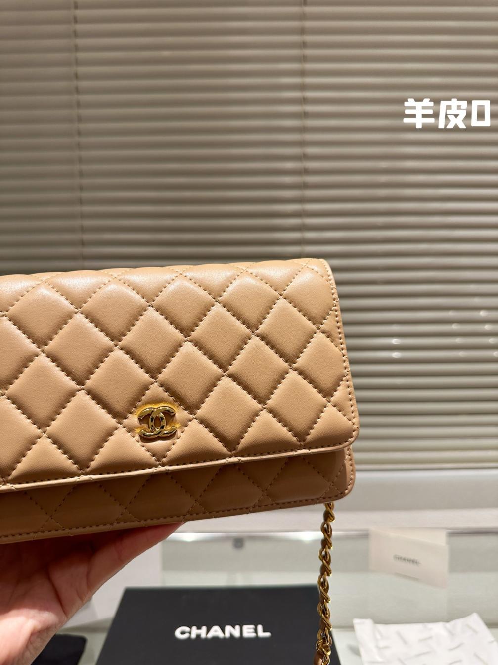 Chanel Classic lambskin woc bag 133829