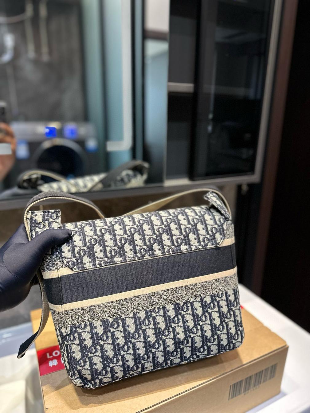 Dior Oblique embroidery bag