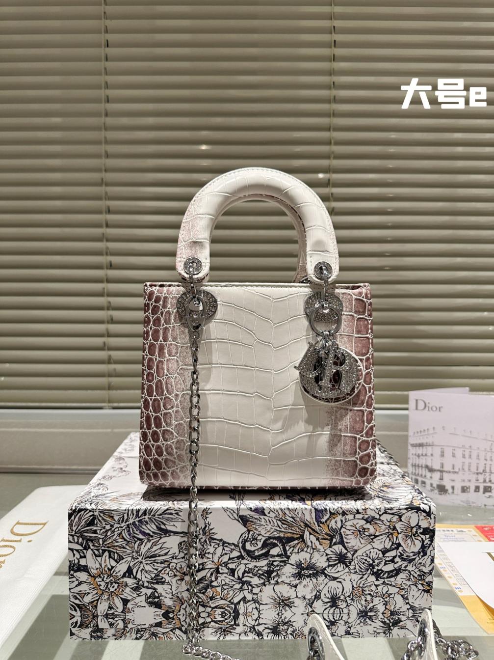 Dior lady dior hand bag 134201