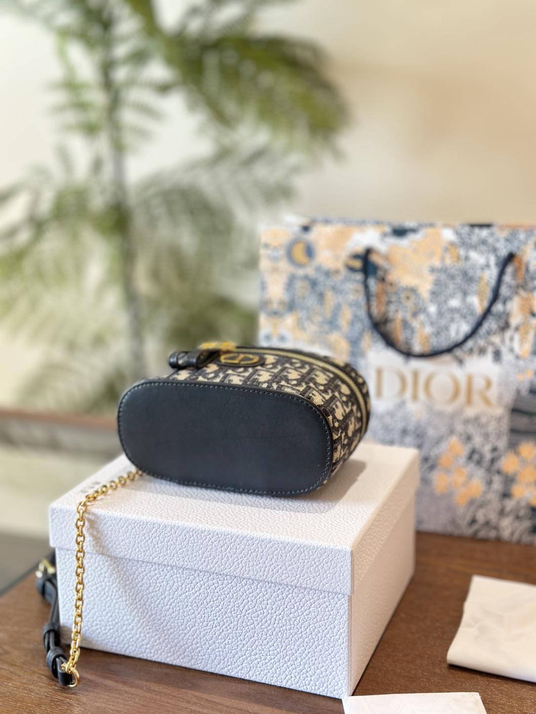 1:1 Dior mini  embroidery Caro Vanity handbag
