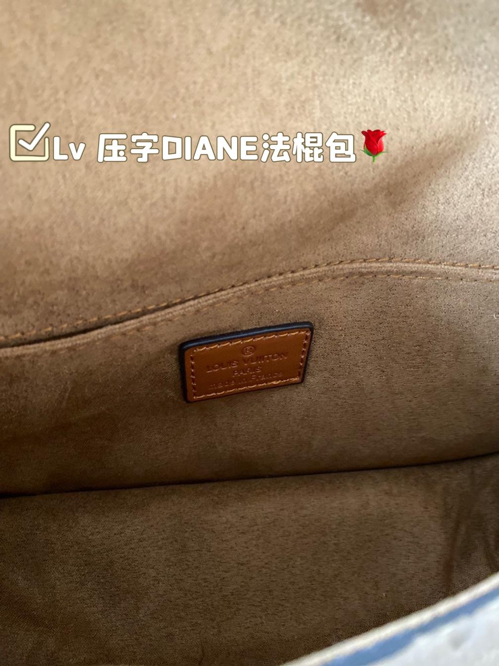 LV louisvuitton DIANE Handbag