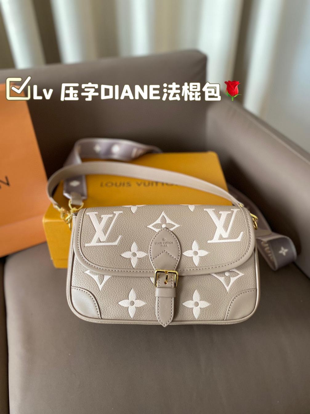 LV louisvuitton DIANE Handbag