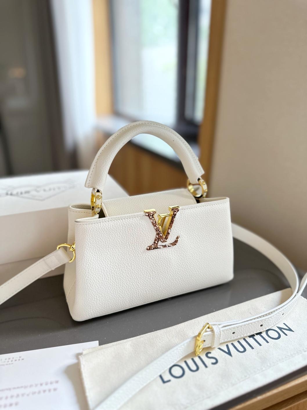 LV Capucines handbag