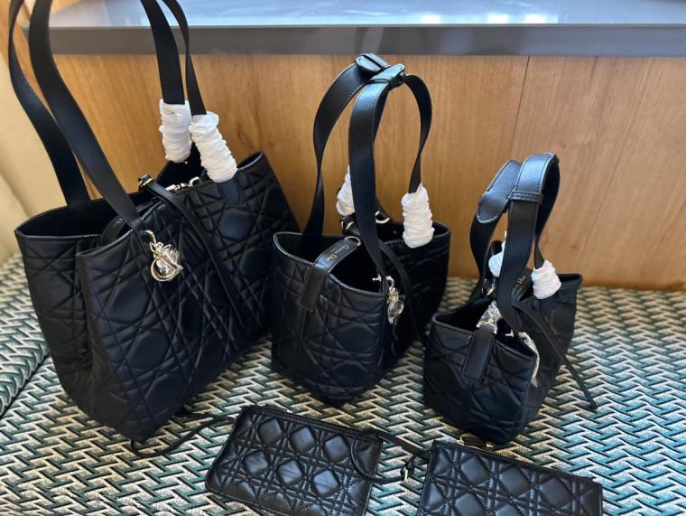 DIOR TOUJOURS Jisoo lambskin handbag