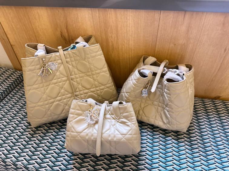 DIOR TOUJOURS Jisoo lambskin handbag