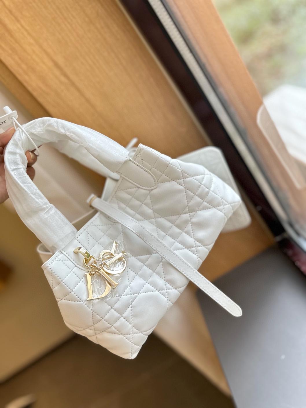 DIOR TOUJOURS Jisoo lambskin handbag