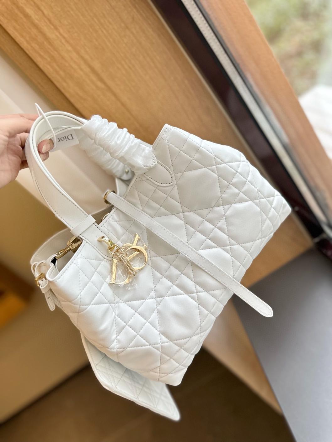 DIOR TOUJOURS Jisoo lambskin handbag