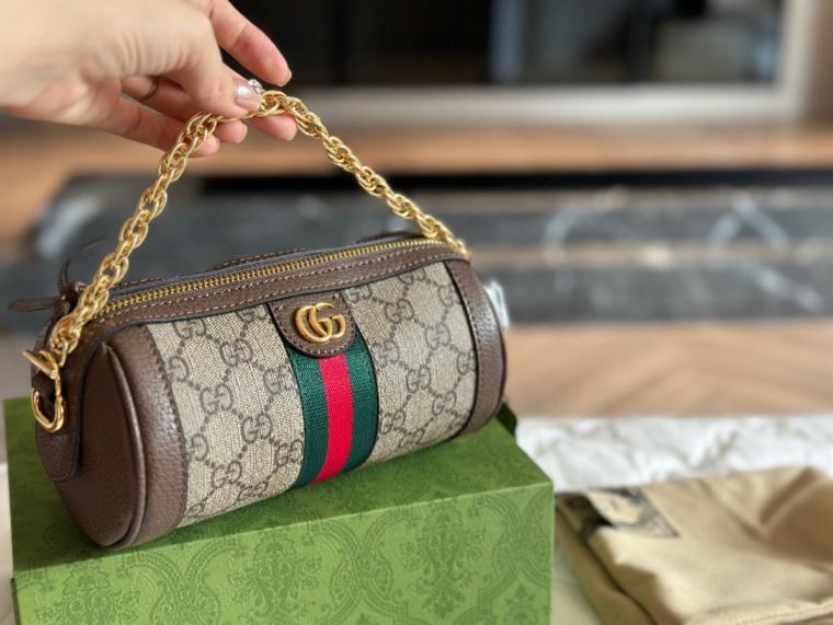 Gucci GG ophidia bag