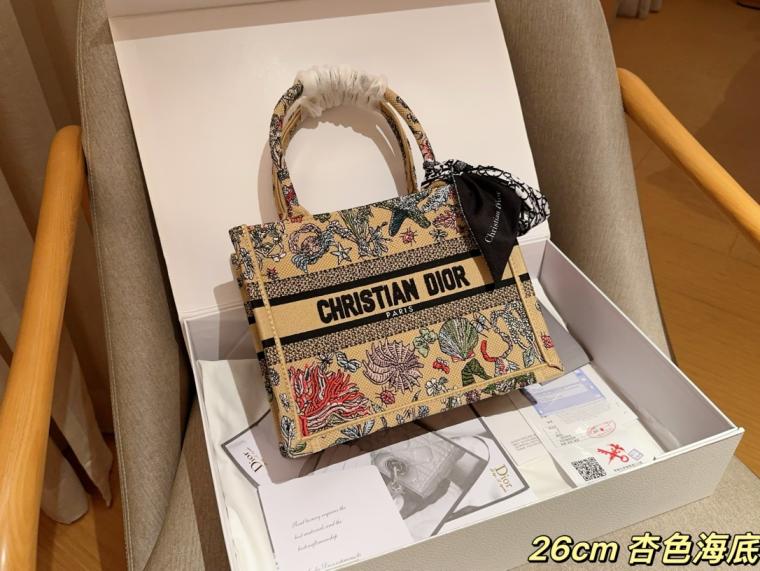 Dior Small Book tote embroidery bag