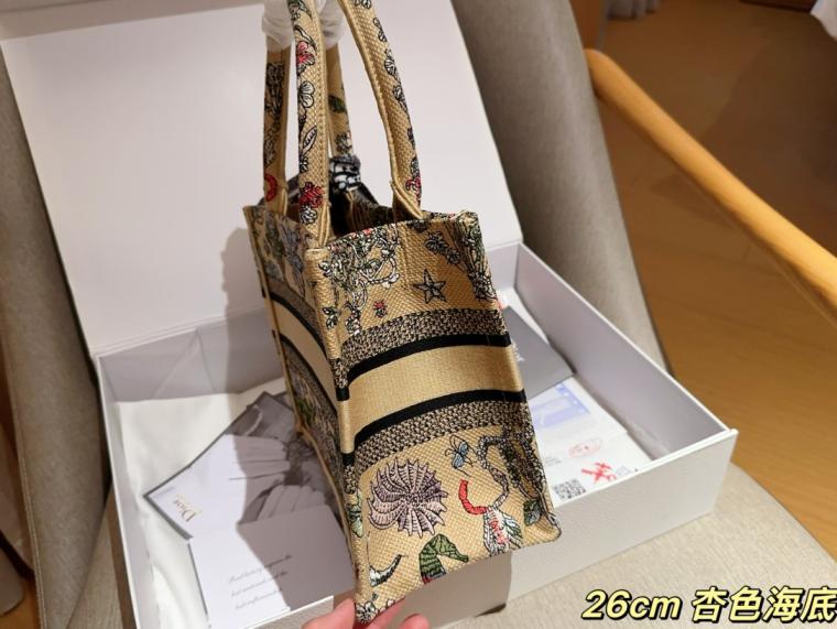 Dior Small Book tote embroidery bag