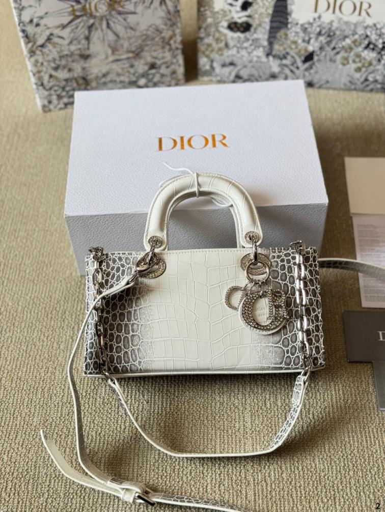 DIOR Lady D-joy handbag
