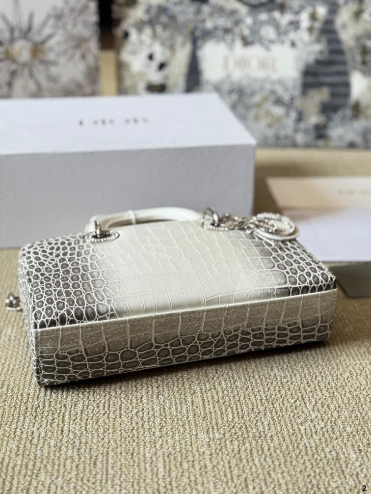 DIOR Lady D-joy handbag