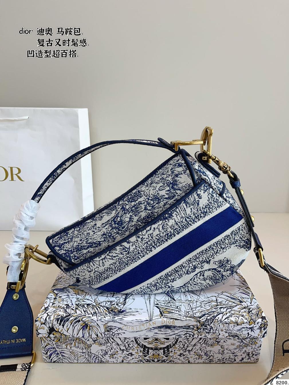 Dior saddle bag