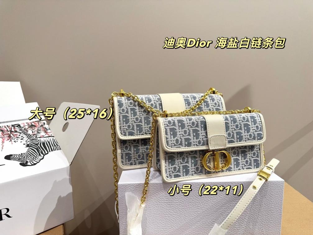 Dior oblique handbag 135883
