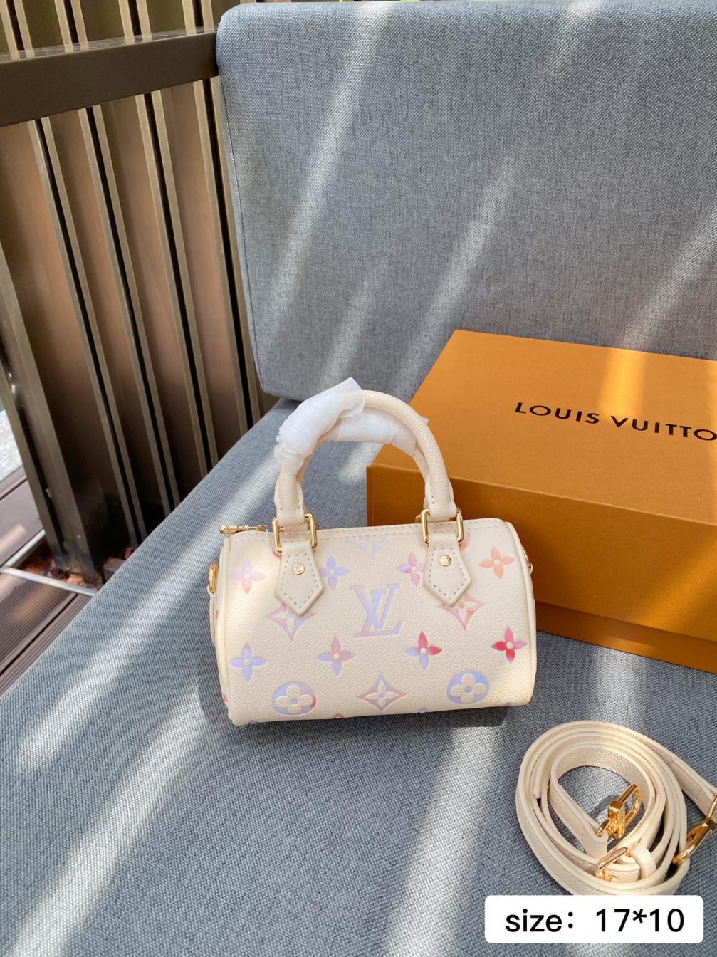 LV Louis vuitton Speedy handbag 138973