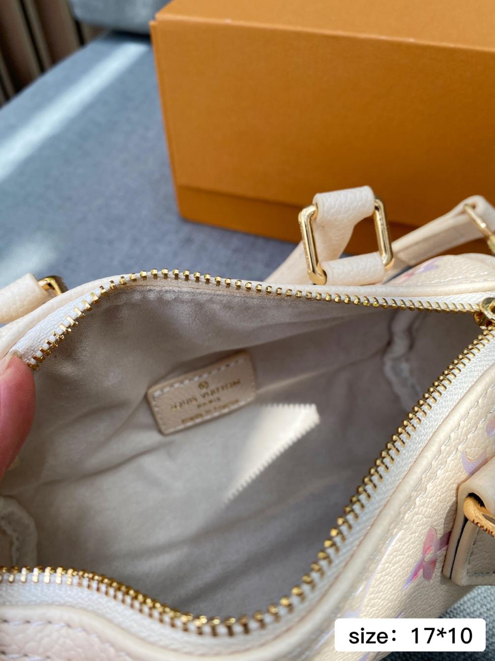 LV Louis vuitton Speedy handbag 138973