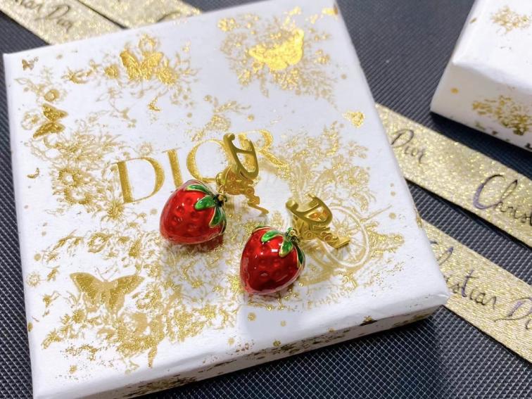 A047 Dior earrings YY