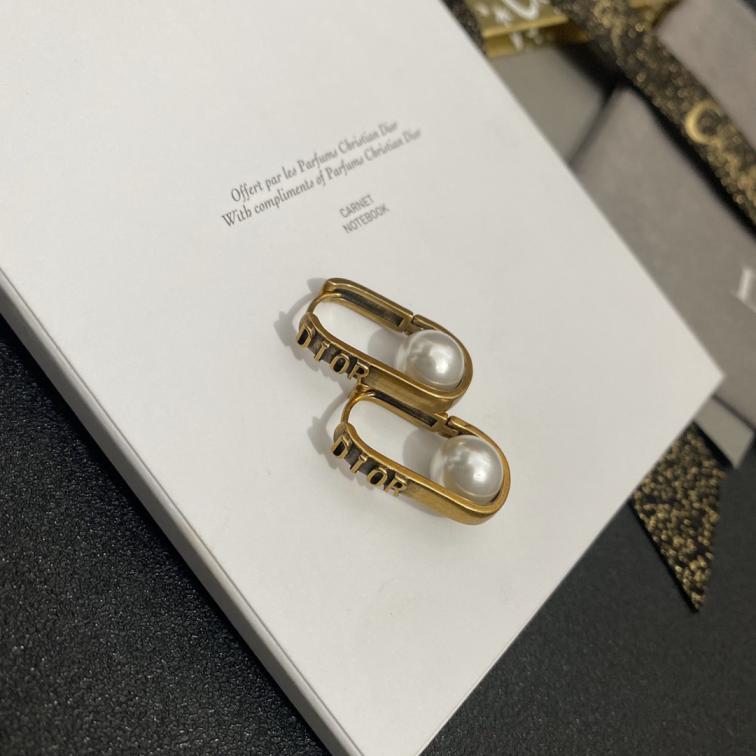 A648 Dior earrings 109348
