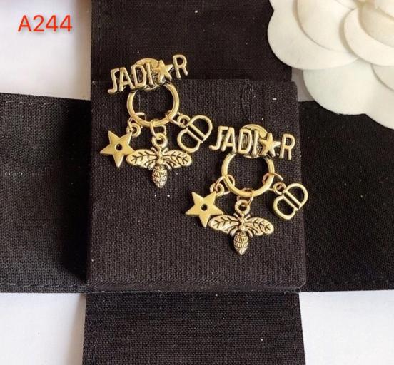 Dior earrings 111915