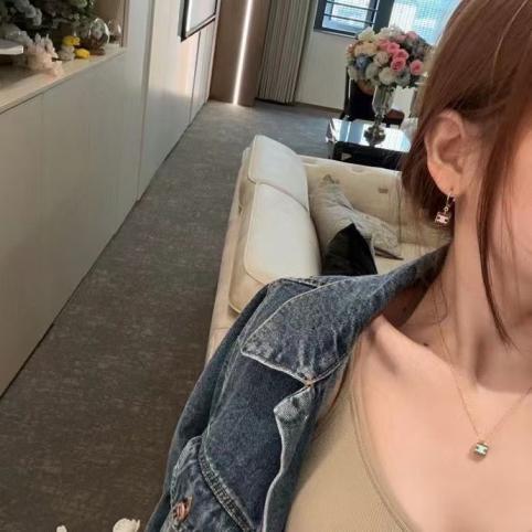 A1127 CELINE earrings