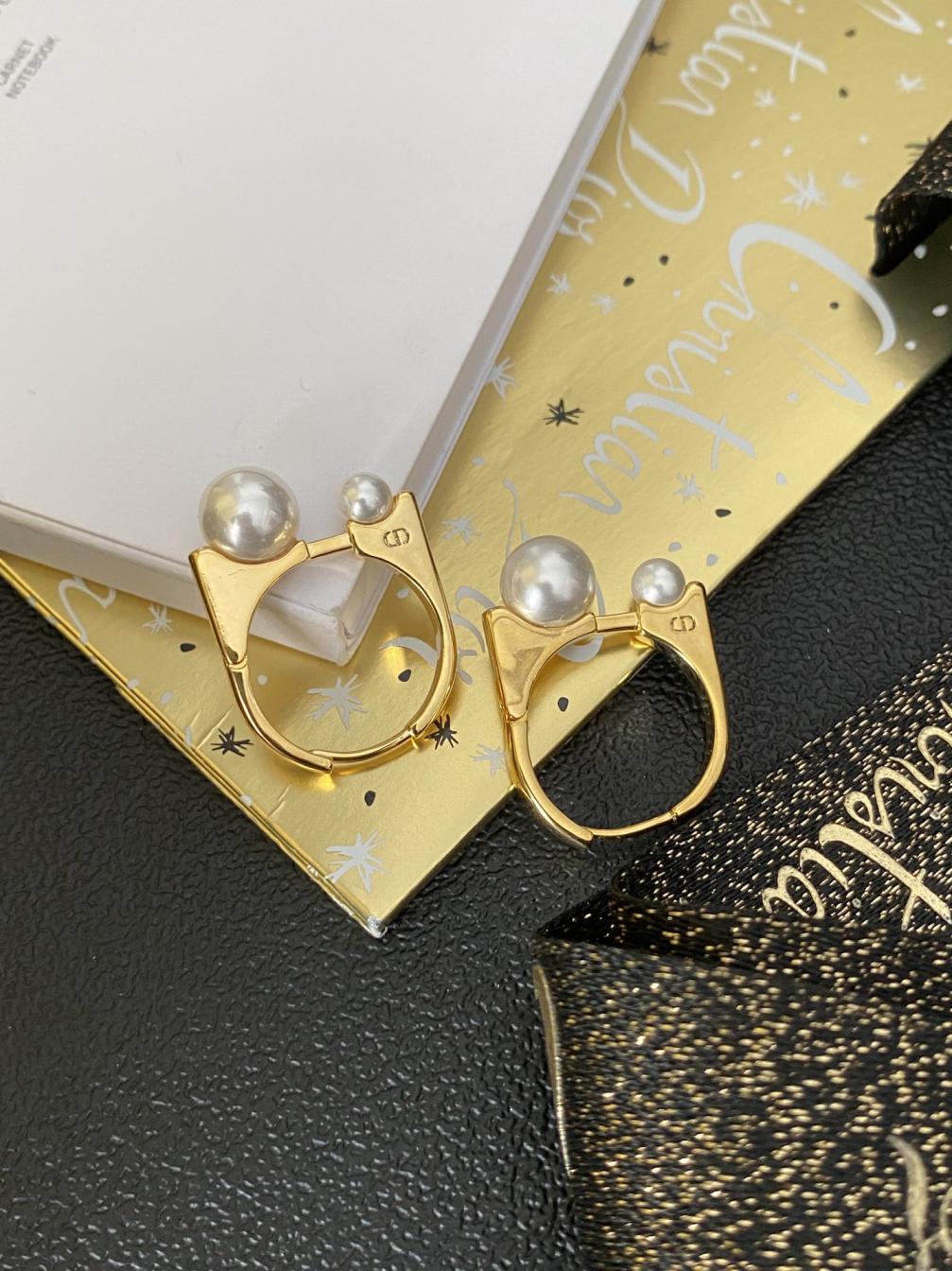 A1899 Dior earrings