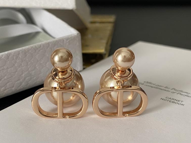 A466 Dior earrings