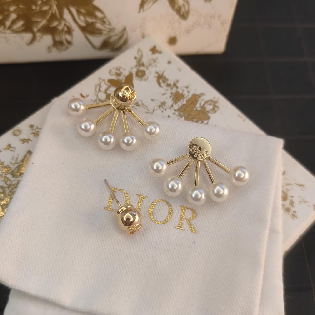 A484 Dior earrings