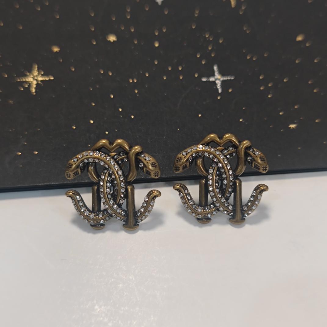 A1830 Alexander McQueen earrings